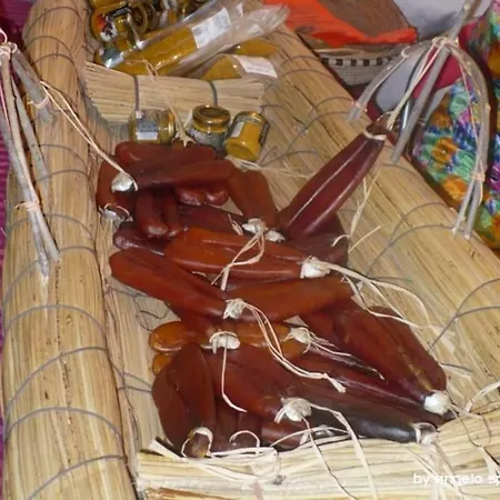 Sa Ruda Çiftlik konaklama
