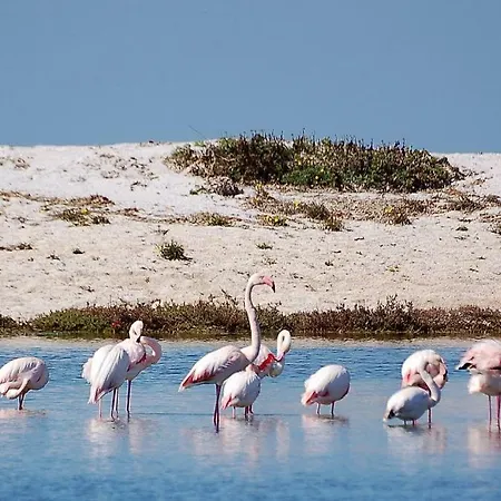 Gospodarstwo agroturystyczne Sa Ruda