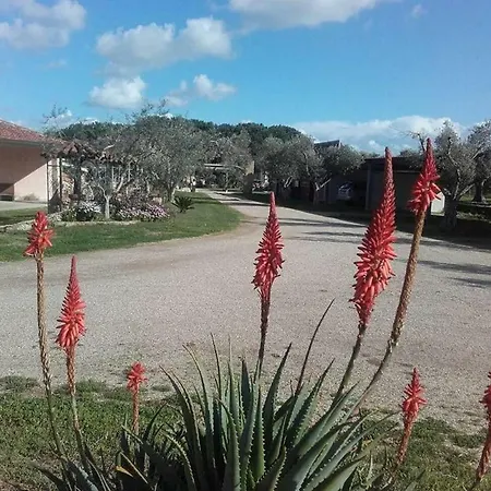 Sa Ruda Càbras