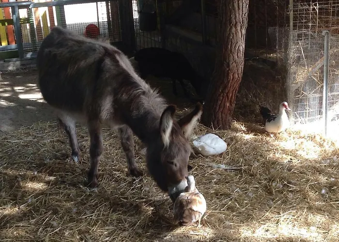 Фермерский дом Sa Ruda *