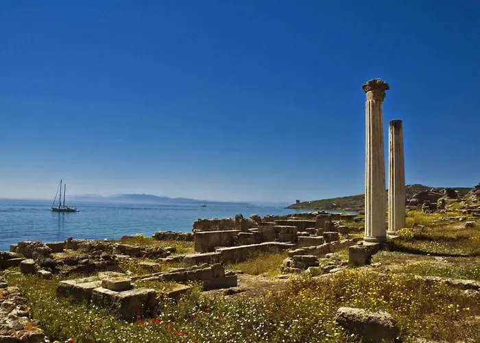 Фермерский дом Sa Ruda