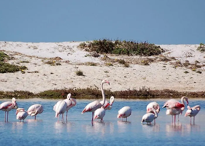 Фермерский дом Sa Ruda