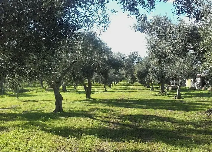 Фермерский дом Sa Ruda Кабрас