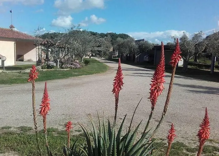 Sa Ruda Кабрас