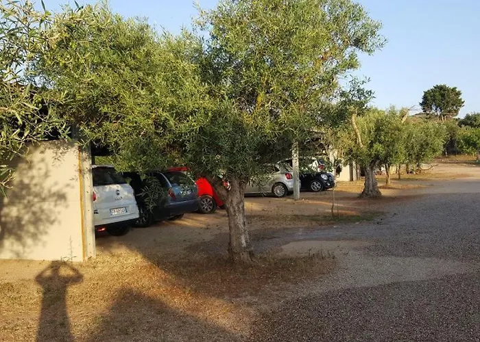 Sa Ruda Фермерский дом Кабрас